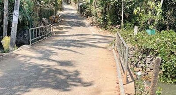 എലിയറയ്ക്കൽ കാളഞ്ചിറ റോഡിലെ പാലം അപകടാവസ്ഥയിൽ എലിയറയ്ക്കൽ കാളഞ്ചിറ റോഡിലെ പാലം അപകടാവസ്ഥയിൽ