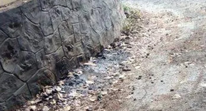 ചിന്മയ റോഡ് അടിയന്തിരമായി ടാർ ചെയ്യണമെന്ന ആവശ്യം ശക്തമാകുന്നു ചിന്മയ റോഡ് അടിയന്തിരമായി ടാർ ചെയ്യണമെന്ന ആവശ്യം ശക്തമാകുന്നു