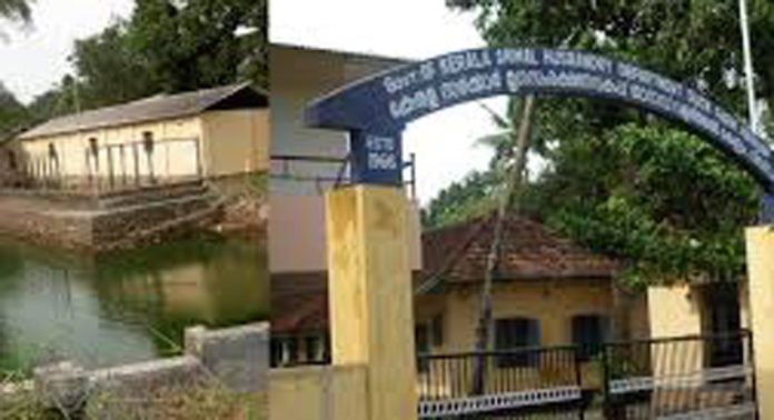 നിരണം ഡക്ക് ഫാം തുറന്നുപ്രവർത്തിപ്പിക്കാൻ നടപടി വൈകുന്നു നിരണം ഡക്ക് ഫാം തുറന്നുപ്രവർത്തിപ്പിക്കാൻ നടപടി വൈകുന്നു