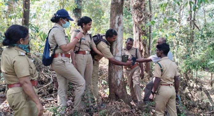 കാട്ടുതീ പ്രതിരോധ പ്രവർത്തനങ്ങൾ ശക്തമാക്കി കൊക്കാത്തോട് ഫോറസ്റ്റ് സ്റ്റേഷൻ കാട്ടുതീ പ്രതിരോധ പ്രവർത്തനങ്ങൾ ശക്തമാക്കി കൊക്കാത്തോട് ഫോറസ്റ്റ് സ്റ്റേഷൻ