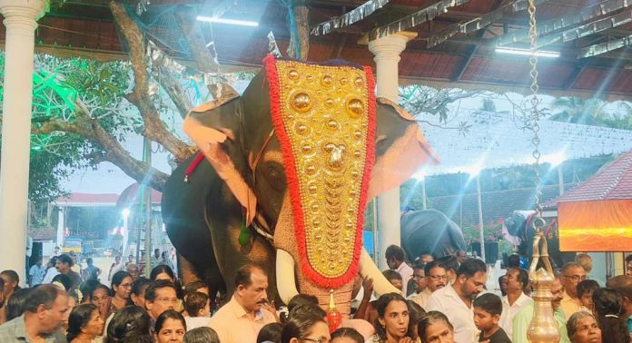 വോയ്സ് ഫോർ എലിഫന്റ്സ് റോബോട്ടിക് ആനയെ പുറത്തിറക്കി വോയ്സ് ഫോർ എലിഫന്റ്സ് റോബോട്ടിക് ആനയെ പുറത്തിറക്കി