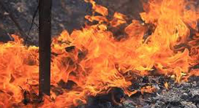 കളമശേരിയില് വൻ തീപിടുത്തം ; മാലിന്യക്കൂമ്പാരത്തില് തീ പടരുന്നു കളമശേരിയില് വൻ തീപിടുത്തം ; മാലിന്യക്കൂമ്പാരത്തില് തീ പടരുന്നു