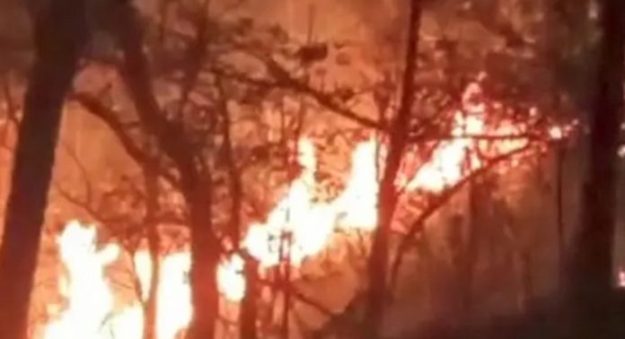കോഴിക്കോട് വിലങ്ങാട് വനഭൂമിയിൽ ഉണ്ടായ കാട്ടുതീ നിയന്ത്രണ വിധേയമായി കോഴിക്കോട് വിലങ്ങാട് വനഭൂമിയിൽ ഉണ്ടായ കാട്ടുതീ നിയന്ത്രണ വിധേയമായി
