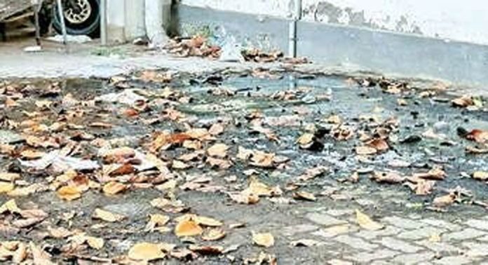 ഹരിപ്പാട് റവന്യൂ ടവർ പരിസരം മാലിന്യം കൊണ്ട് നിറഞ്ഞു ഹരിപ്പാട് റവന്യൂ ടവർ പരിസരം മാലിന്യം കൊണ്ട് നിറഞ്ഞു