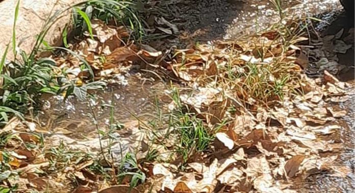 പൈപ്പു പൊട്ടി കുടിവെള്ളം പാഴായി പോയിട്ടും തിരിഞ്ഞുനോക്കാതെ അധികൃതര് പൈപ്പു പൊട്ടി കുടിവെള്ളം പാഴായി പോയിട്ടും തിരിഞ്ഞുനോക്കാതെ അധികൃതര്