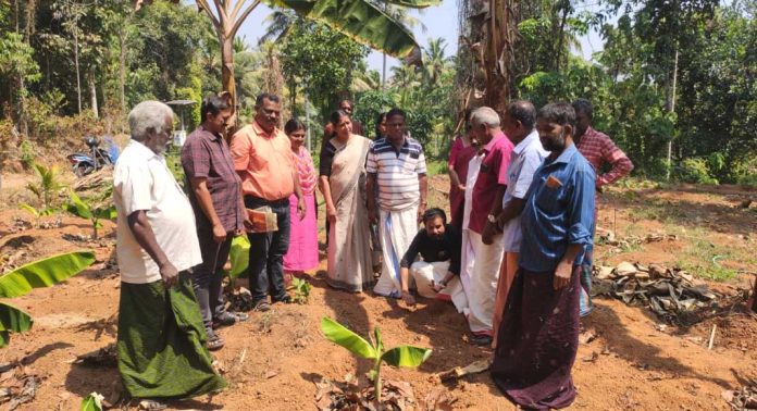 വിഷുകണിയൊരുക്കാന് തോലുഴം ഹരിതസംഘം വിഷുകണിയൊരുക്കാന് തോലുഴം ഹരിതസംഘം