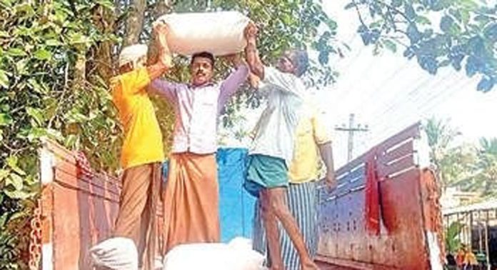 കരുവാറ്റ ചാലുങ്കൽ പാടശേഖരത്തിൽ നെല്ലുസംഭരണം തുടങ്ങി കരുവാറ്റ ചാലുങ്കൽ പാടശേഖരത്തിൽ നെല്ലുസംഭരണം തുടങ്ങി