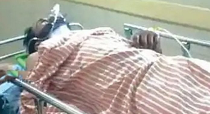 കാലടി പ്ലാന്റേഷനില് കാട്ടാനയുടെ ആക്രമണത്തില് തൊഴിലാളിക്ക് പരിക്ക് കാലടി പ്ലാന്റേഷനില് കാട്ടാനയുടെ ആക്രമണത്തില് തൊഴിലാളിക്ക് പരിക്ക്