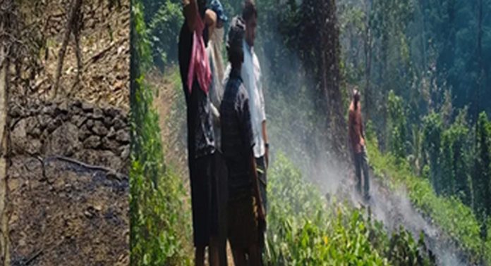 കോട്ടയം വെള്ളികുളം കാരികാട് ഭാഗത്ത് തീപിടുത്തം; 3 ഏക്കറോളം കൃഷിയിടം കത്തി നശിച്ചു കോട്ടയം വെള്ളികുളം കാരികാട് ഭാഗത്ത് തീപിടുത്തം; 3 ഏക്കറോളം കൃഷിയിടം കത്തി നശിച്ചു