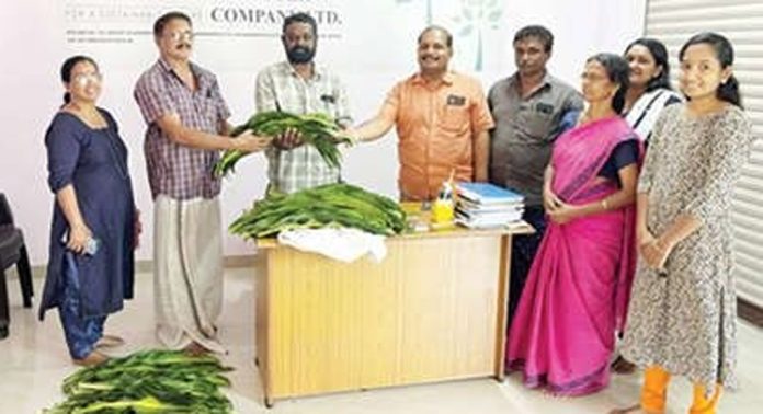 മെസഞ്ചിയാന വിളവെടുപ്പ് നടത്തി കൊടുമൺ ഫാർമേഴ്സ് കമ്പനി മെസഞ്ചിയാന വിളവെടുപ്പ് നടത്തി കൊടുമൺ ഫാർമേഴ്സ് കമ്പനി