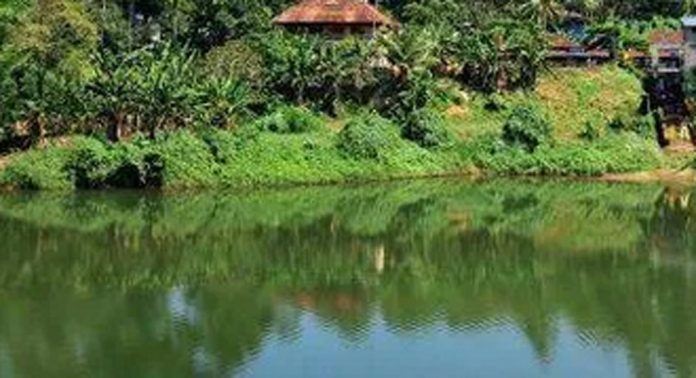 മാടമണ്ണിൽ പമ്പാനദിക്ക് കുറുകെ പാലം നിർമ്മാണത്തിനായി 4.95 കോടി രൂപയുടെ എസ്റ്റിമേറ്റ് തയ്യാറായി മാടമണ്ണിൽ പമ്പാനദിക്ക് കുറുകെ പാലം നിർമ്മാണത്തിനായി 4.95 കോടി രൂപയുടെ എസ്റ്റിമേറ്റ് തയ്യാറായി