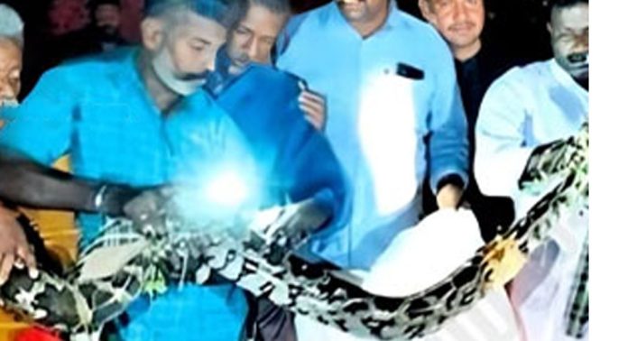 മല്ലപ്പള്ളി വാളക്കുഴിയിൽ പെരുമ്പാമ്പിനെ പിടികുടി മല്ലപ്പള്ളി വാളക്കുഴിയിൽ പെരുമ്പാമ്പിനെ പിടികുടി