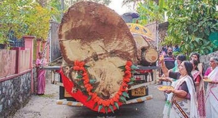 മേലുകര പള്ളിയോട പുനർനിർമാണത്തിനായുള്ള ആഞ്ഞിലിത്തടികൾക്ക് കരക്കാർ വരവേൽപ് നൽകി മേലുകര പള്ളിയോട പുനർനിർമാണത്തിനായുള്ള ആഞ്ഞിലിത്തടികൾക്ക് കരക്കാർ വരവേൽപ് നൽകി