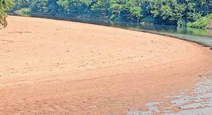 ചൂട് വർധിച്ചതോടെ പമ്പാനദിയിൽ തുടരെ മണൽ പരപ്പുകൾ തെളിയുന്നു ചൂട് വർധിച്ചതോടെ പമ്പാനദിയിൽ തുടരെ മണൽ പരപ്പുകൾ തെളിയുന്നു