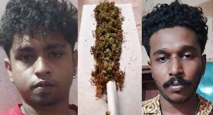 ഓപ്പറേഷൻ ഡി ഹണ്ട് ; കഞ്ചാവുമായി രണ്ട് യുവാക്കൾ പിടിയിൽ ഓപ്പറേഷൻ ഡി ഹണ്ട് ; കഞ്ചാവുമായി രണ്ട് യുവാക്കൾ പിടിയിൽ