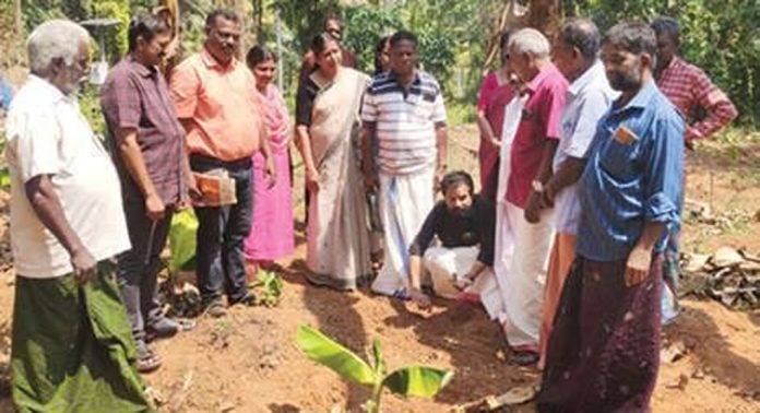 വിഷുവിന് കണിയൊരുക്കാൻ തോലുഴം ഹരിതസംഘത്തിന്റെ കണി വെള്ളരി വിഷുവിന് കണിയൊരുക്കാൻ തോലുഴം ഹരിതസംഘത്തിന്റെ കണി വെള്ളരി
