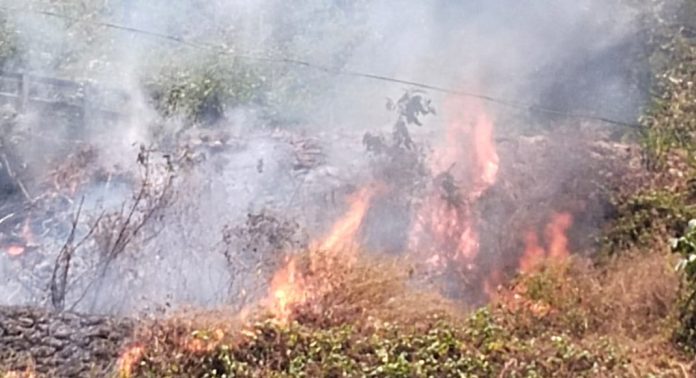 റാന്നി വലിയകലുങ്കിന് സമീപം വന് തീപിടുത്തം റാന്നി വലിയകലുങ്കിന് സമീപം വന് തീപിടുത്തം