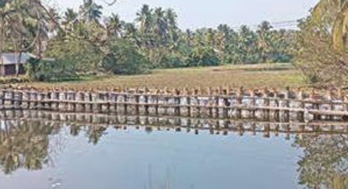 ഷട്ടറുകള് അടയുന്നില്ല ; നെൽക്കൃഷിക്ക് ഉപ്പുവെള്ളം ഭീഷണിയാകുന്നു ഷട്ടറുകള് അടയുന്നില്ല ; നെൽക്കൃഷിക്ക് ഉപ്പുവെള്ളം ഭീഷണിയാകുന്നു