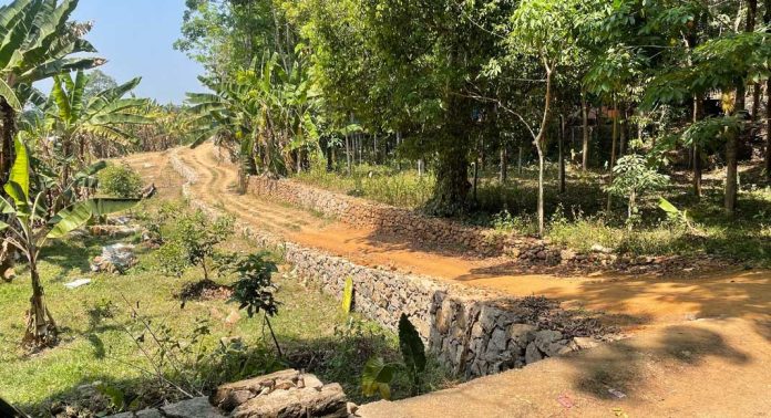 നടപ്പാത യാഥാര്ഥ്യമാകുന്ന സന്തോഷത്തിലാണ് ഓമല്ലൂര് പഞ്ചായത്തിലെ 15 കുടുംബങ്ങള് നടപ്പാത യാഥാര്ഥ്യമാകുന്ന സന്തോഷത്തിലാണ് ഓമല്ലൂര് പഞ്ചായത്തിലെ 15 കുടുംബങ്ങള്