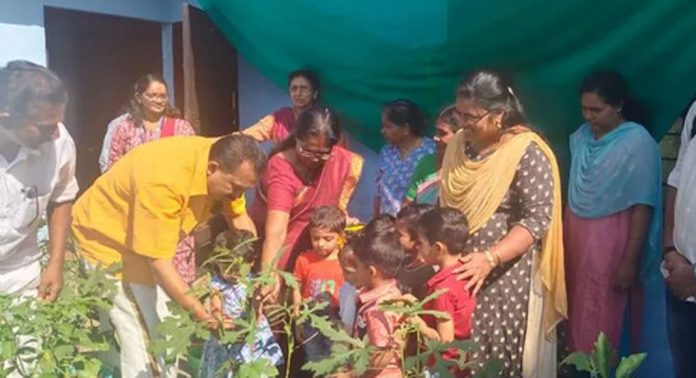 മനക്കച്ചിറ അങ്കണവാടിയിലെ പച്ചക്കറി കൃഷിയുടെ വിളവെടുപ്പ് നടത്തി മനക്കച്ചിറ അങ്കണവാടിയിലെ പച്ചക്കറി കൃഷിയുടെ വിളവെടുപ്പ് നടത്തി