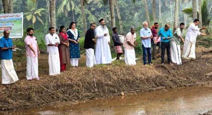 പെരുപുഞ്ച പാടശേഖരത്തില് വിത്തിടീൽ മഹോത്സവം നടത്തി പെരുപുഞ്ച പാടശേഖരത്തില് വിത്തിടീൽ മഹോത്സവം നടത്തി