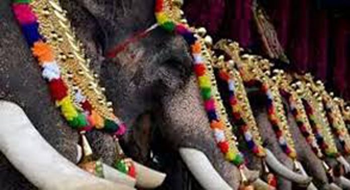 കുളങ്ങരക്കാവ് ക്ഷേത്ര ഉത്സവം മാർച്ച് 12 മുതൽ കുളങ്ങരക്കാവ് ക്ഷേത്ര ഉത്സവം മാർച്ച് 12 മുതൽ