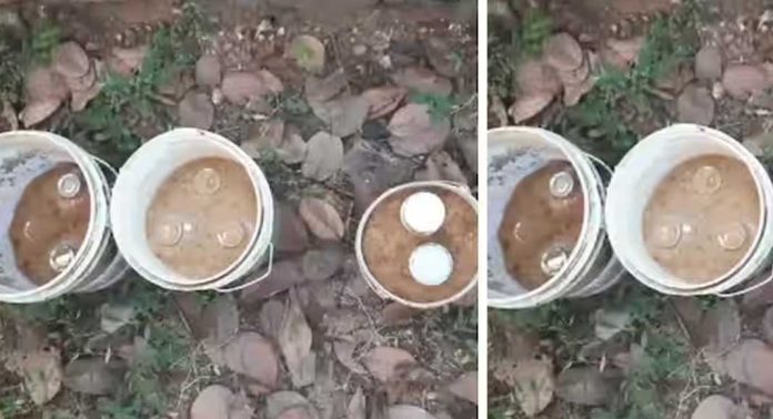 ചെക്യാട് കായലോട്ട് താഴെ പാറച്ചാലിൽ മുക്കിൽ വൻ ആയുധ ശേഖരം കണ്ടെത്തി ചെക്യാട് കായലോട്ട് താഴെ പാറച്ചാലിൽ മുക്കിൽ വൻ ആയുധ ശേഖരം കണ്ടെത്തി