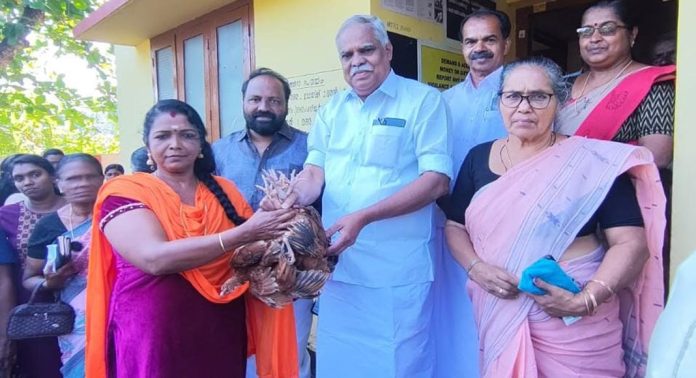 വെച്ചൂച്ചിറ പഞ്ചായത്തില് പട്ടികജാതി വിഭാഗക്കാർക്കായി മുട്ടക്കോഴി കുഞ്ഞുങ്ങളെ നൽകി വെച്ചൂച്ചിറ പഞ്ചായത്തില് പട്ടികജാതി വിഭാഗക്കാർക്കായി മുട്ടക്കോഴി കുഞ്ഞുങ്ങളെ നൽകി