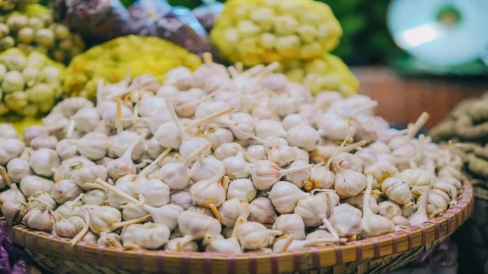 പ്രതീക്ഷകള് തെറ്റിച്ച് വെളുത്തുള്ളി വില കുത്തനെ കൂപ്പുകുത്തി പ്രതീക്ഷകള് തെറ്റിച്ച് വെളുത്തുള്ളി വില കുത്തനെ കൂപ്പുകുത്തി