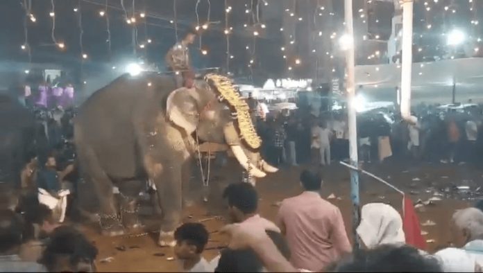 മൂന്ന് മാസത്തിനിടെ ആന ആക്രമണങ്ങളില് കൊല്ലപ്പട്ടത് ഏഴ് പേര് മൂന്ന് മാസത്തിനിടെ ആന ആക്രമണങ്ങളില് കൊല്ലപ്പട്ടത് ഏഴ് പേര്