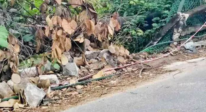 പുനലൂർ സംസ്ഥാന പാതയിലെ തകര്ന്ന കൈവരി നിര്മ്മിച്ച് നല്കാന് നടപടിയായില്ല ; അപകഭീതിയില് യാത്രക്കാര് പുനലൂർ സംസ്ഥാന പാതയിലെ തകര്ന്ന കൈവരി നിര്മ്മിച്ച് നല്കാന് നടപടിയായില്ല ; അപകഭീതിയില് യാത്രക്കാര്