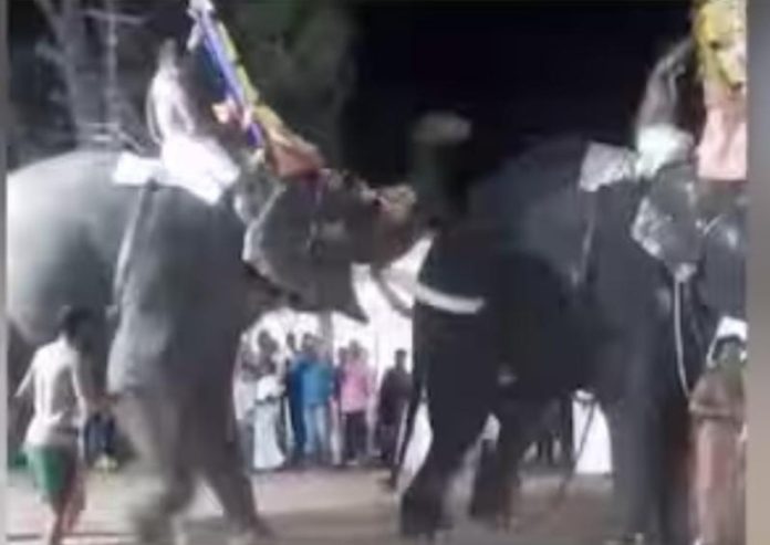 തിരുവല്ല ശ്രീവല്ലഭ ക്ഷേത്രത്തിൽ ഉത്സവത്തിനിടെ ആന ഇടഞ്ഞു തിരുവല്ല ശ്രീവല്ലഭ ക്ഷേത്രത്തിൽ ഉത്സവത്തിനിടെ ആന ഇടഞ്ഞു