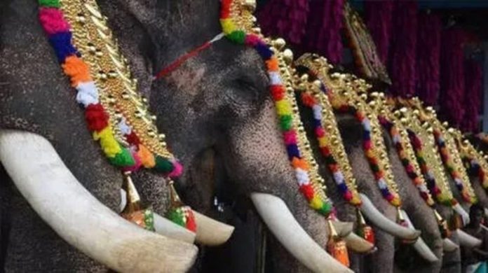 ഉത്സവത്തിനിടെ ആന ഇടഞ്ഞ സംഭവം ; കേസെടുത്ത് വനം വകുപ്പ് ഉത്സവത്തിനിടെ ആന ഇടഞ്ഞ സംഭവം ; കേസെടുത്ത് വനം വകുപ്പ്