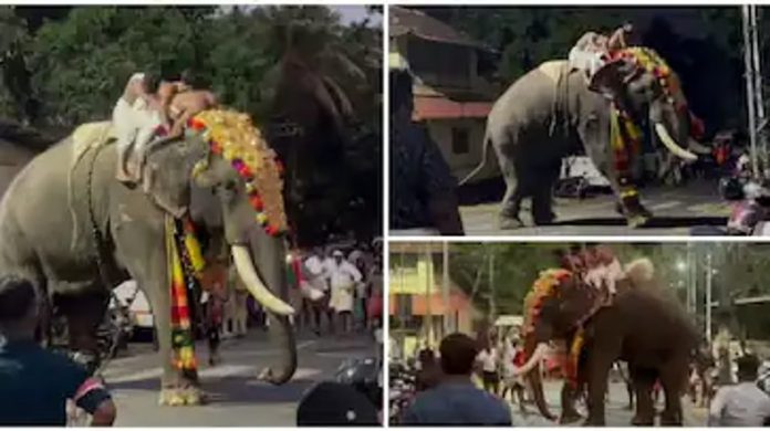 കുന്നംകുളത്ത് വീണ്ടും ഉത്സവത്തിനിടെ ആനയിടഞ്ഞു കുന്നംകുളത്ത് വീണ്ടും ഉത്സവത്തിനിടെ ആനയിടഞ്ഞു