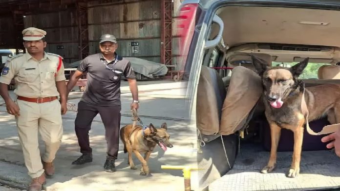 തെലങ്കാന ടണൽ ദുരന്തം : കേരളത്തിൽ നിന്നുള്ള കഡാവർ നായകൾ മനുഷ്യ അവശിഷ്ടങ്ങൾ കണ്ടെത്തി തെലങ്കാന ടണൽ ദുരന്തം : കേരളത്തിൽ നിന്നുള്ള കഡാവർ നായകൾ മനുഷ്യ അവശിഷ്ടങ്ങൾ കണ്ടെത്തി