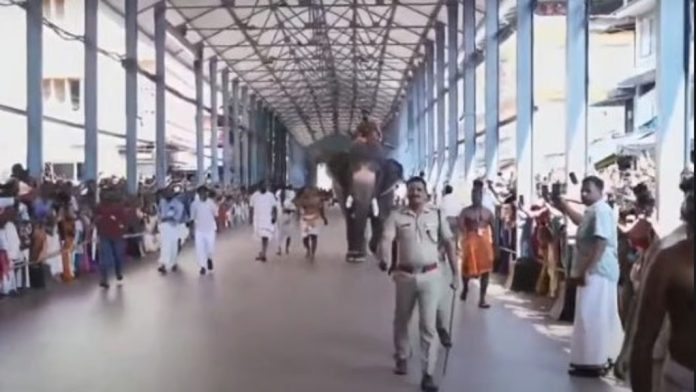 ഗുരുവായൂര് ആനയോട്ടം ; കൊമ്പന് ബാലു വിജയി ഗുരുവായൂര് ആനയോട്ടം ; കൊമ്പന് ബാലു വിജയി