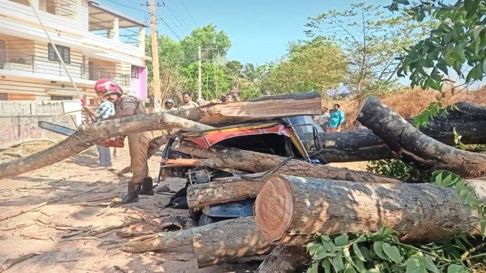 ഓടിക്കൊണ്ടിരുന്ന ഓട്ടോയുടെ മുകളിലേക്ക് മരം കടപുഴകി വീണ് ഡ്രൈവർക്കും മകനും പരിക്ക് ഓടിക്കൊണ്ടിരുന്ന ഓട്ടോയുടെ മുകളിലേക്ക് മരം കടപുഴകി വീണ് ഡ്രൈവർക്കും മകനും പരിക്ക്