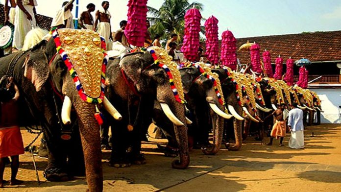 ആന എഴുന്നള്ളിപ്പ് : ഹൈക്കോടതിയുടെ ഇടക്കാല ഉത്തരവിന് സുപ്രീംകോടതിയുടെ സ്റ്റേ ആന എഴുന്നള്ളിപ്പ് : ഹൈക്കോടതിയുടെ ഇടക്കാല ഉത്തരവിന് സുപ്രീംകോടതിയുടെ സ്റ്റേ