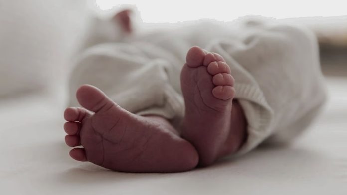 കണ്ണൂരിലെ പിഞ്ചുകുഞ്ഞിന്റെ മരണം: കൊലയ്ക്ക് പിന്നിൽ ബന്ധുവായ 12കാരി കണ്ണൂരിലെ പിഞ്ചുകുഞ്ഞിന്റെ മരണം: കൊലയ്ക്ക് പിന്നിൽ ബന്ധുവായ 12കാരി