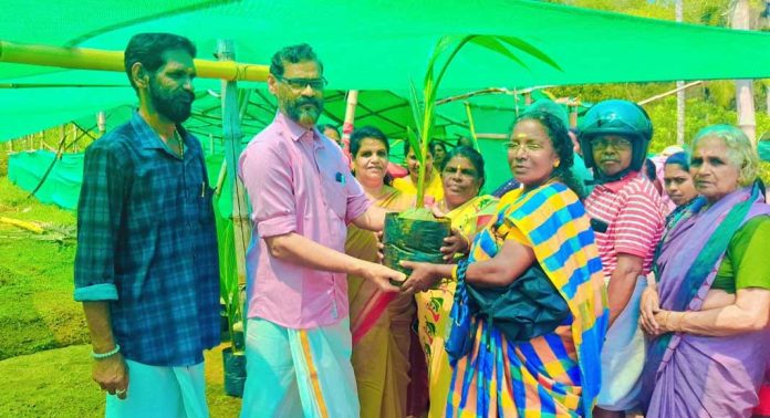 വിഷു കൈനീട്ടമായി തെങ്ങിന്തൈ വിതരണം ചെയ്ത് ഇരവിപേരൂര് ഗ്രാമപഞ്ചായത്ത് വിഷു കൈനീട്ടമായി തെങ്ങിന്തൈ വിതരണം ചെയ്ത് ഇരവിപേരൂര് ഗ്രാമപഞ്ചായത്ത്