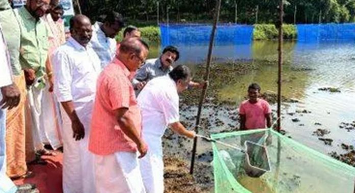 ചാങ്ങപ്പാടം ചാലിൽ ആരംഭിച്ച എംബാങ്കുമെന്റ് മത്സ്യകൃഷി ഉദ്ഘാടനം ചെയ്തു ചാങ്ങപ്പാടം ചാലിൽ ആരംഭിച്ച എംബാങ്കുമെന്റ് മത്സ്യകൃഷി ഉദ്ഘാടനം ചെയ്തു