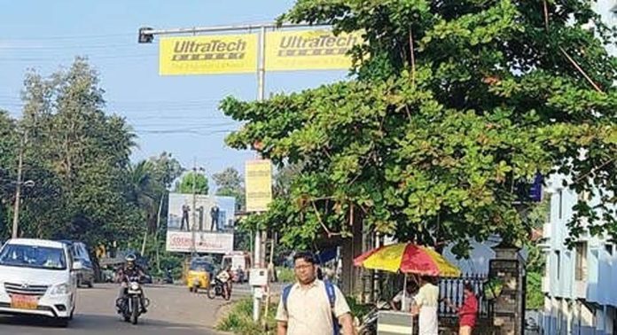 ടി.കെ.റോഡിലെ അപകടക്കെണി ഒഴിവാക്കാൻ തോട്ടഭാഗത്ത് സ്ഥാപിച്ച വാണിങ് ലൈറ്റിന്റെ കാഴ്ച മരച്ചില്ലകൾ മറയ്ക്കുന്നു ടി.കെ.റോഡിലെ അപകടക്കെണി ഒഴിവാക്കാൻ തോട്ടഭാഗത്ത് സ്ഥാപിച്ച വാണിങ് ലൈറ്റിന്റെ കാഴ്ച മരച്ചില്ലകൾ മറയ്ക്കുന്നു
