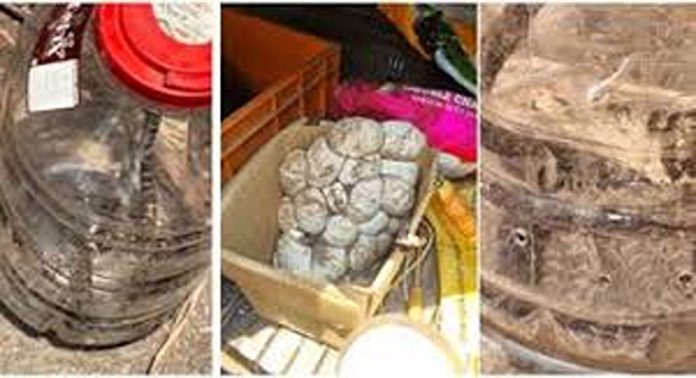 കൊടുമണ്ണിൽ തകർന്ന ഷെഡ്ഡിൽ നിന്ന് 2 പെരുമ്പാമ്പിനെയും കുഞ്ഞുങ്ങളെയും കണ്ടെത്തി കൊടുമണ്ണിൽ തകർന്ന ഷെഡ്ഡിൽ നിന്ന് 2 പെരുമ്പാമ്പിനെയും കുഞ്ഞുങ്ങളെയും കണ്ടെത്തി