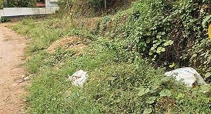 ഏഴംകുളം പഞ്ചായത്തിന്റെ വിവിധ ഇടങ്ങളിൽ വ്യാപകമായി മാലിന്യം തള്ളുന്നു ഏഴംകുളം പഞ്ചായത്തിന്റെ വിവിധ ഇടങ്ങളിൽ വ്യാപകമായി മാലിന്യം തള്ളുന്നു