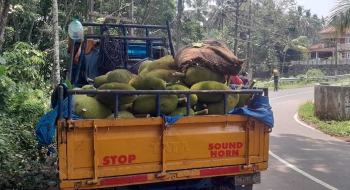 ചക്ക വിപണിയിൽ ഇത്തവണ മധുരം കുറഞ്ഞു ചക്ക വിപണിയിൽ ഇത്തവണ മധുരം കുറഞ്ഞു