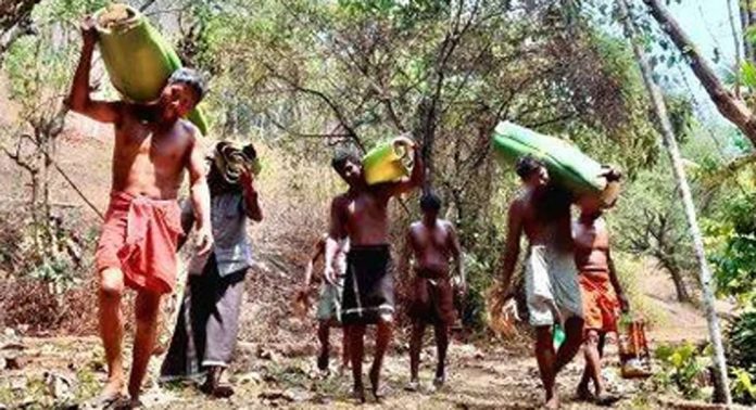 ഇലന്തൂർ പടയണികോലങ്ങൾ ഇന്ന് മുതൽ ചുവട് വെച്ചെത്തും ഇലന്തൂർ പടയണികോലങ്ങൾ ഇന്ന് മുതൽ ചുവട് വെച്ചെത്തും