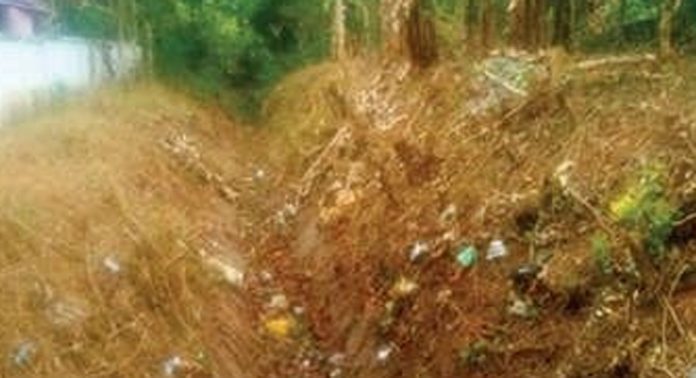 അന്തിച്ചിറ കനാലില് വെള്ളമെത്തുന്നില്ല ; കര്ഷകര് ആശങ്കയില് അന്തിച്ചിറ കനാലില് വെള്ളമെത്തുന്നില്ല ; കര്ഷകര് ആശങ്കയില്