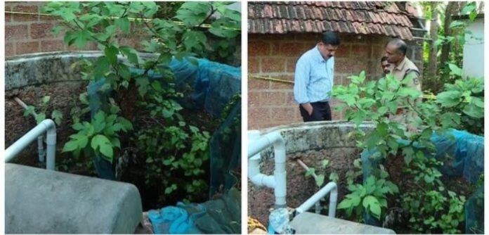 പാറക്കലിലെ കുഞ്ഞിന്റെ കൊലപാതകം ; 12 കാരിക്ക് പരിഗണനയും സംരക്ഷണവും ആവശ്യമെന്ന് സിഡബ്ല്യുസി പാറക്കലിലെ കുഞ്ഞിന്റെ കൊലപാതകം ; 12 കാരിക്ക് പരിഗണനയും സംരക്ഷണവും ആവശ്യമെന്ന് സിഡബ്ല്യുസി