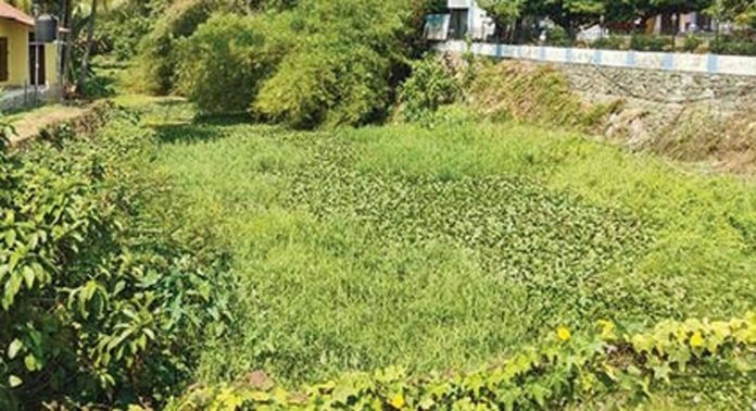 മാലിന്യം നിറഞ്ഞ് കോലറയാർ മാലിന്യം നിറഞ്ഞ് കോലറയാർ