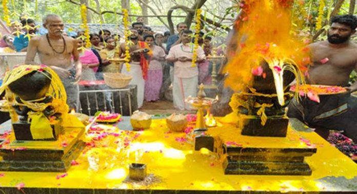 കോന്നി കല്ലേലികാവിൽ നാഗ പൂജ നടത്തി കോന്നി കല്ലേലികാവിൽ നാഗ പൂജ നടത്തി